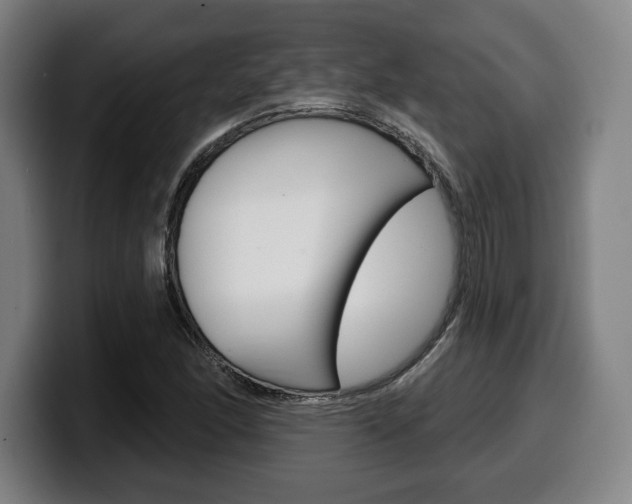 X0000099501166200805150943