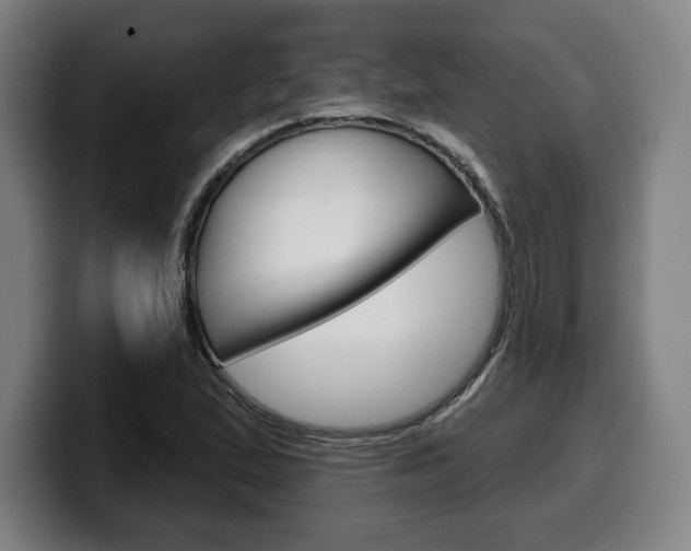 X0000099501167200805150943
