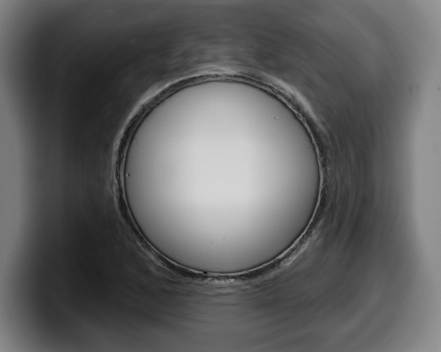 X0000099501168200805150943