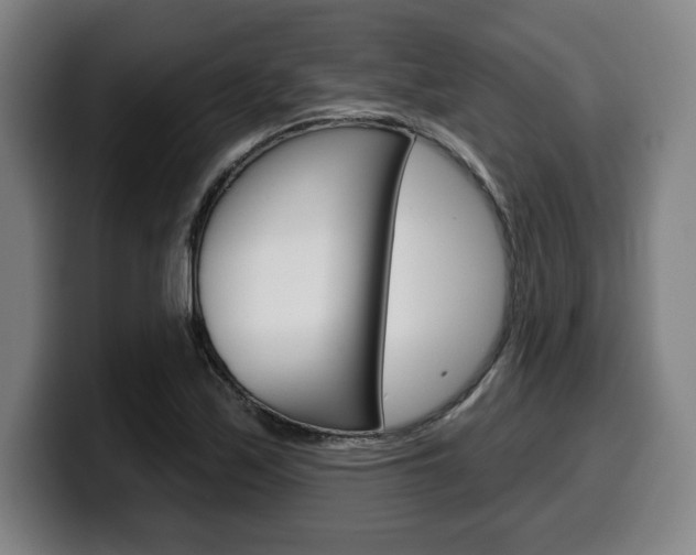 X0000099501171200805150943