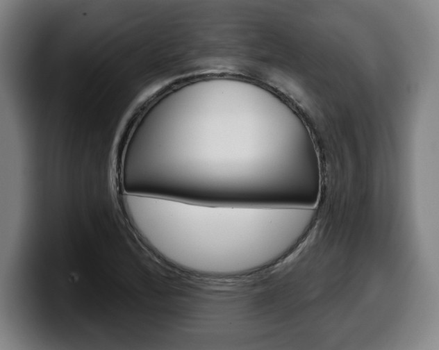 X0000099501172200805150943