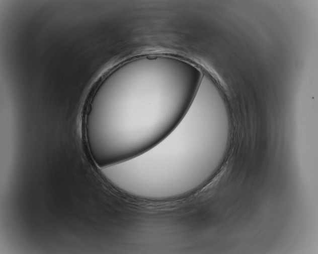 X0000099501173200805150943