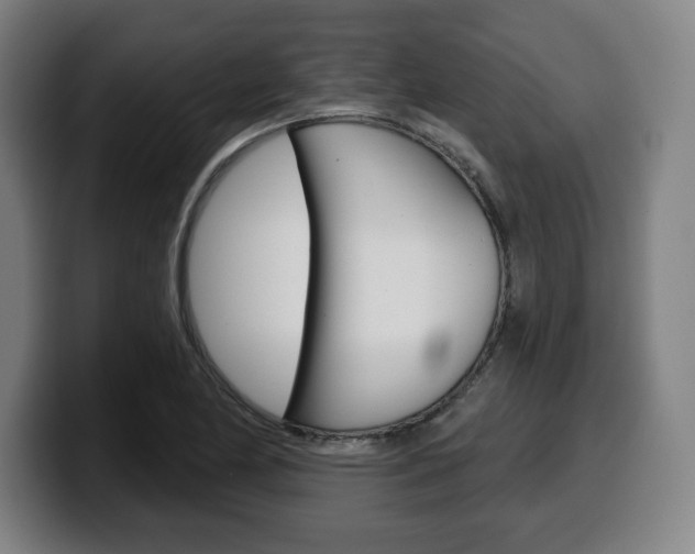 X0000099501174200805150943