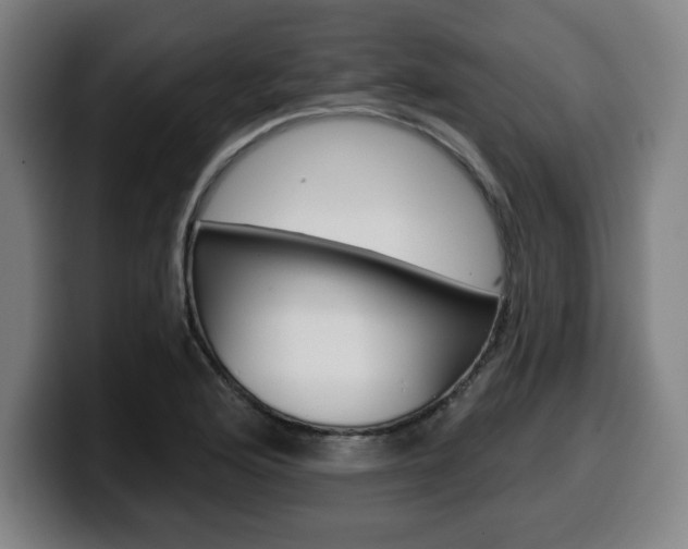X0000099501176200805150943
