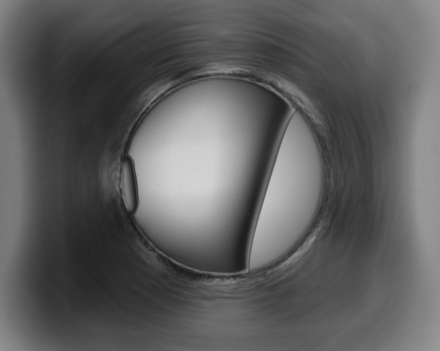 X0000099501177200805150943