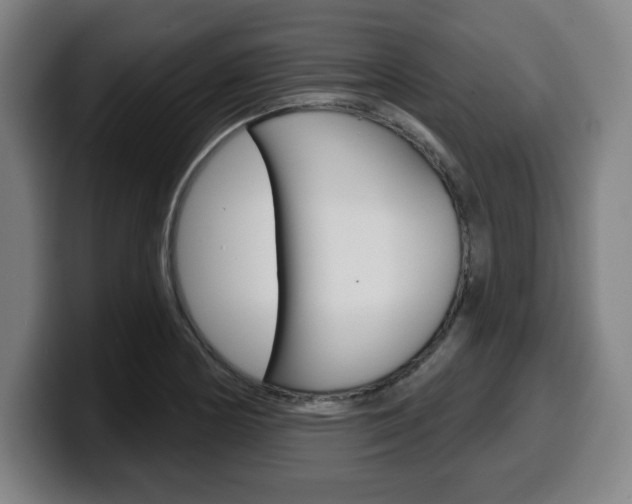 X0000099501178200805150943