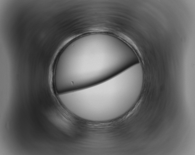 X0000099501179200805150943