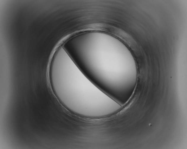 X0000099501180200805150943