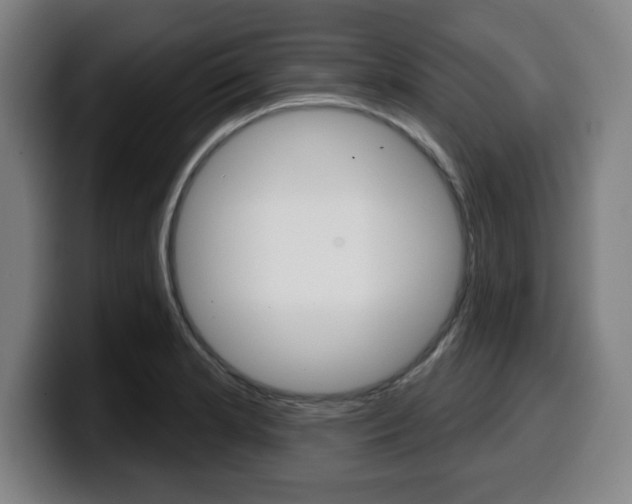 X0000099501181200805150943