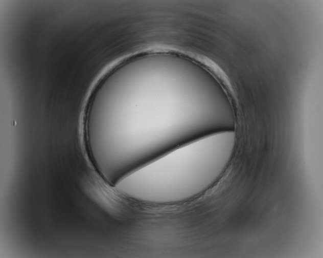 X0000099501183200805150943