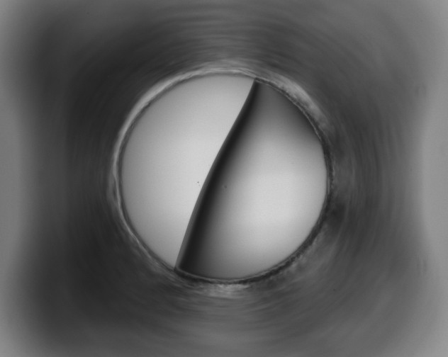 X0000099501184200805150943