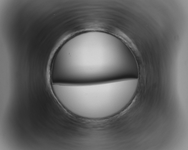 X0000099501188200805150943