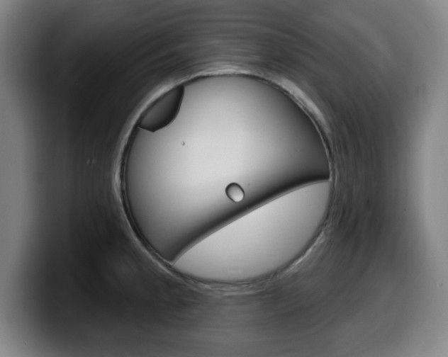 X0000099501189200805150943