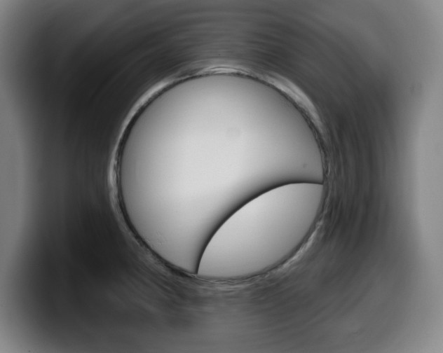 X0000099501190200805150943