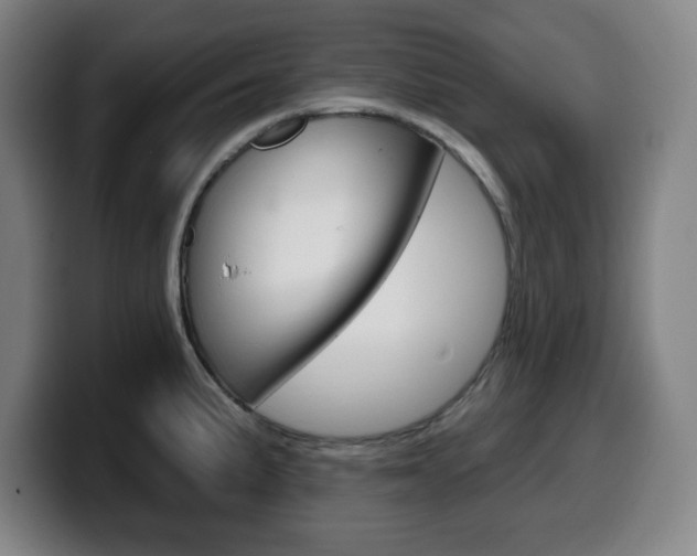 X0000099501191200805150943