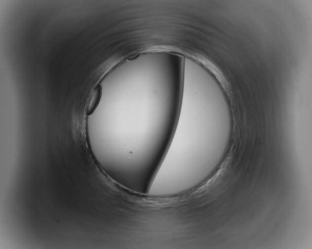X0000099501193200805150943