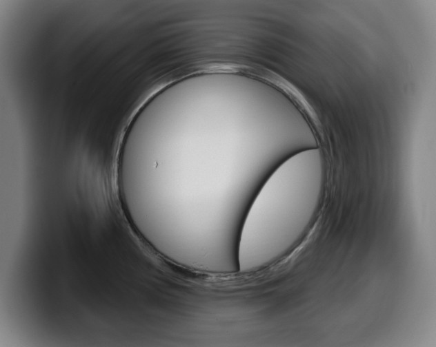 X0000099501194200805150943