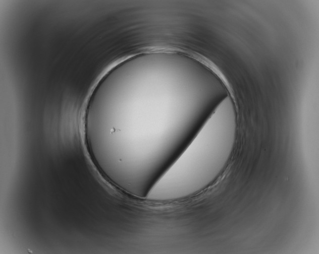 X0000099501195200805150943