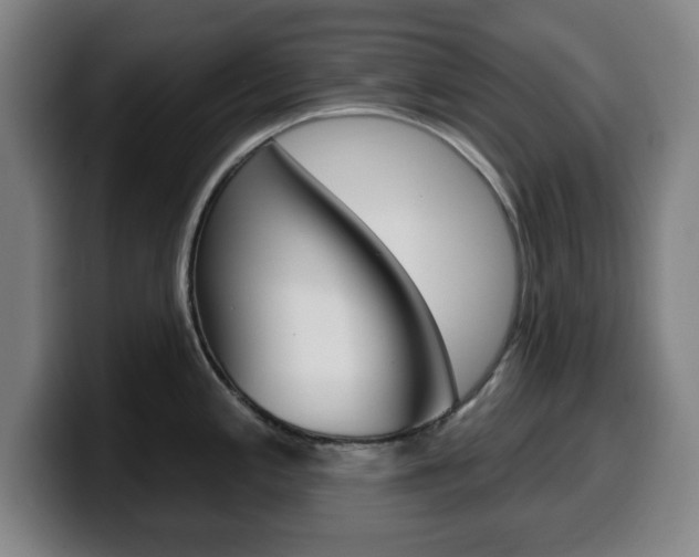 X0000099501197200805150943