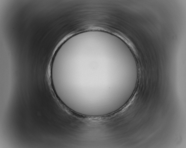 X0000099501198200805150943