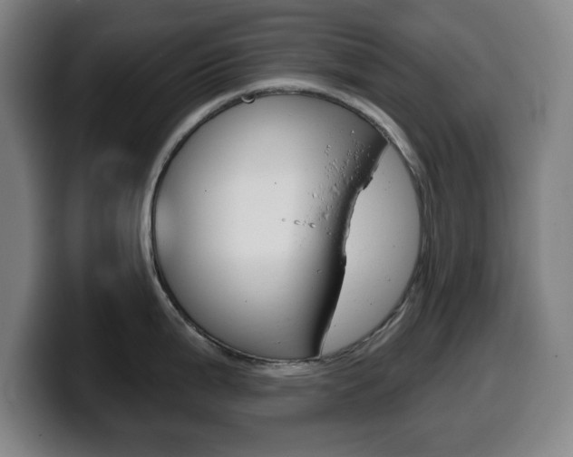 X0000099501199200805150943