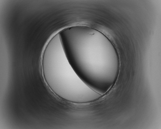 X0000099501200200805150943