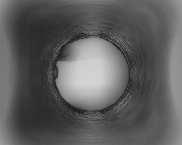 X0000099501201200805150942