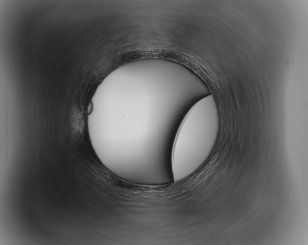 X0000099501204200805150942