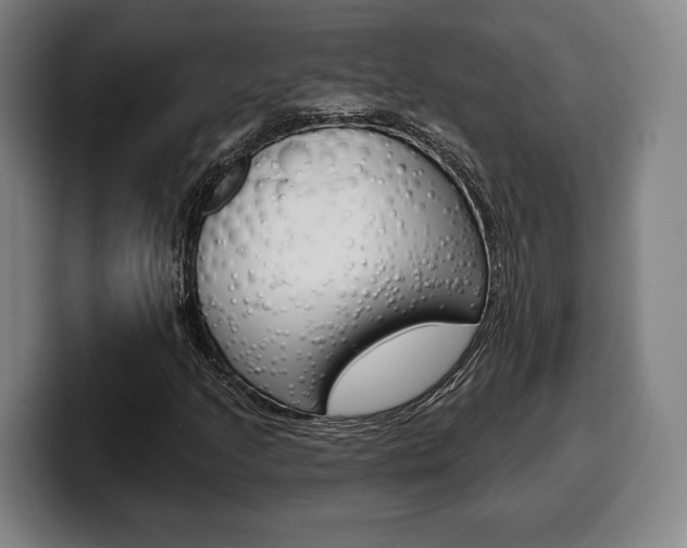 X0000099501205200805150942