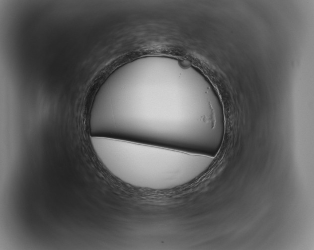 X0000099501206200805150942
