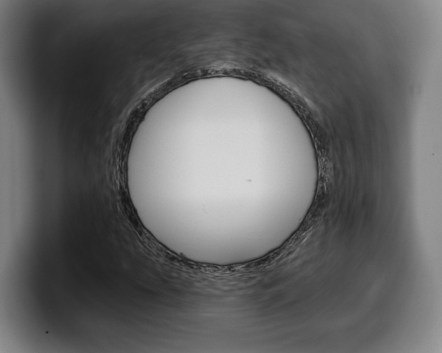 X0000099501207200805150942