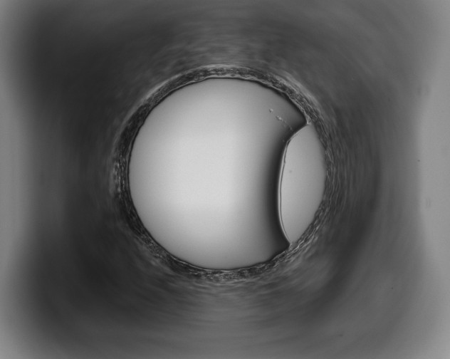 X0000099501208200805150942