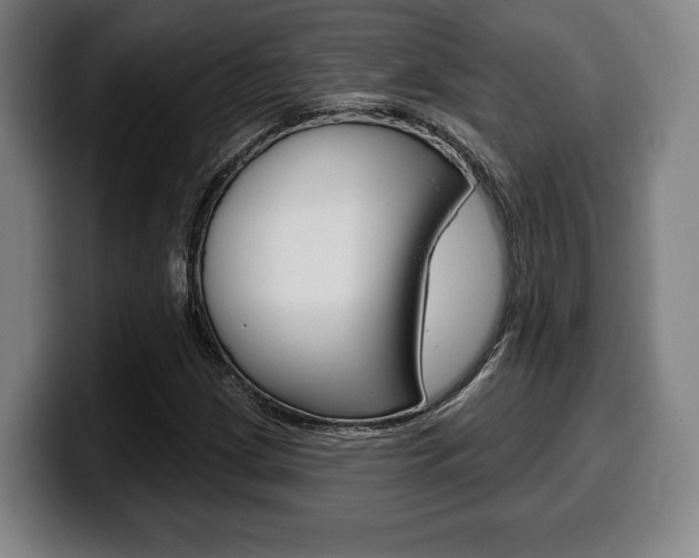 X0000099501209200805150942
