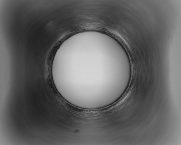 X0000099501211200805150942