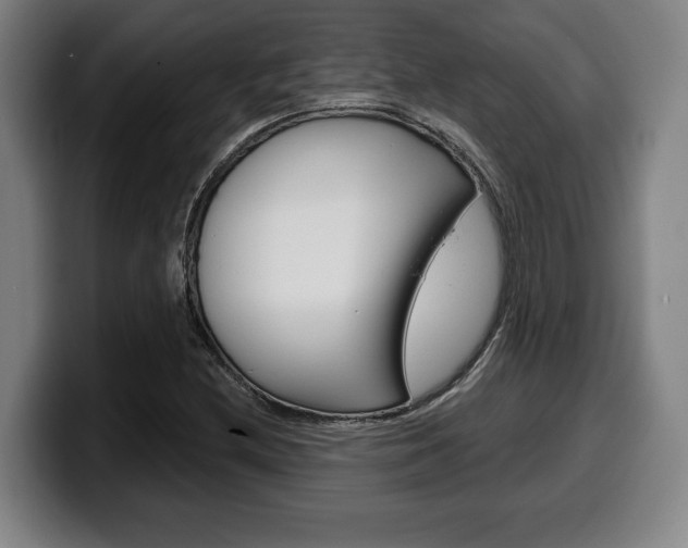 X0000099501212200805150942