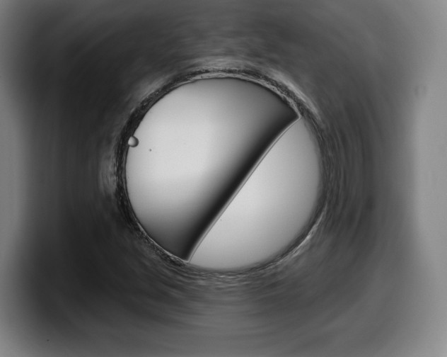 X0000099501213200805150942