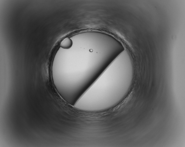 X0000099501214200805150942