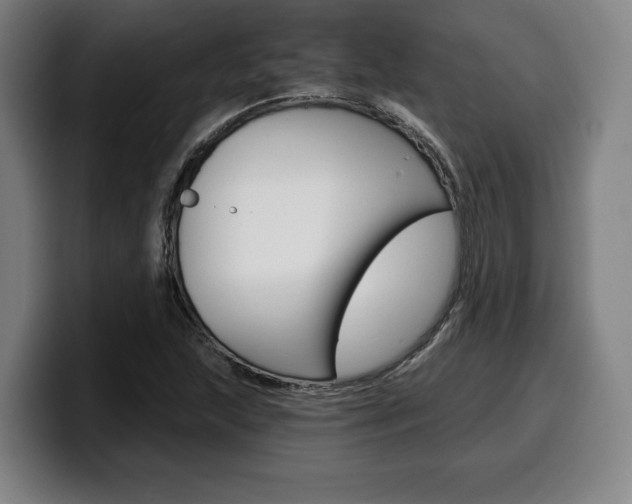 X0000099501215200805150942