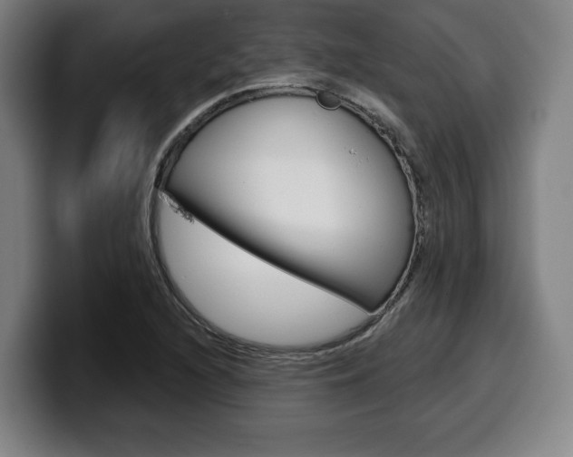 X0000099501216200805150942