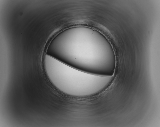 X0000099501218200805150942