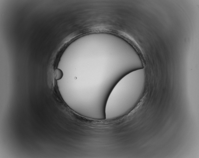 X0000099501219200805150942
