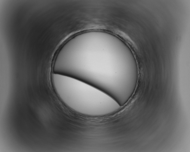 X0000099501220200805150942