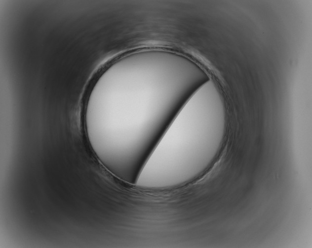 X0000099501222200805150942