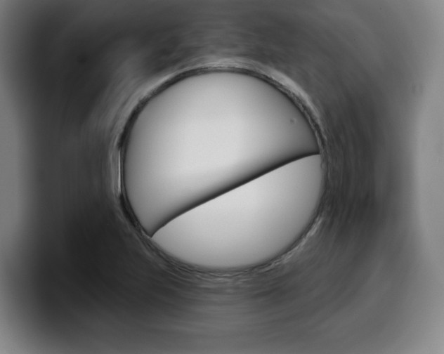 X0000099501223200805150942