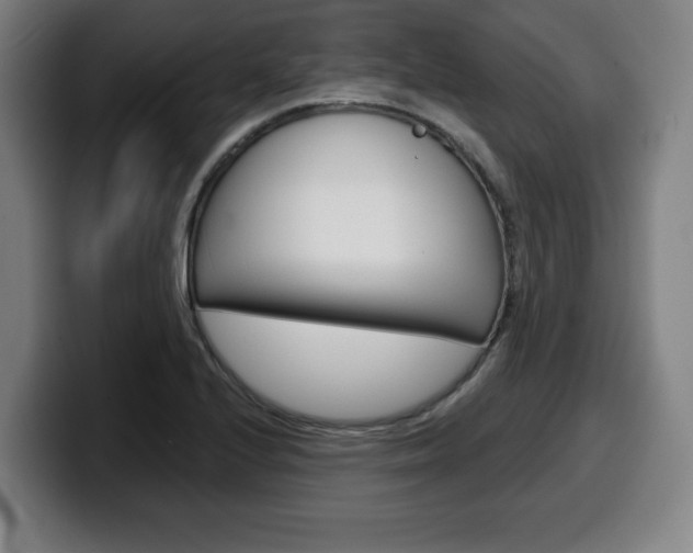 X0000099501224200805150942