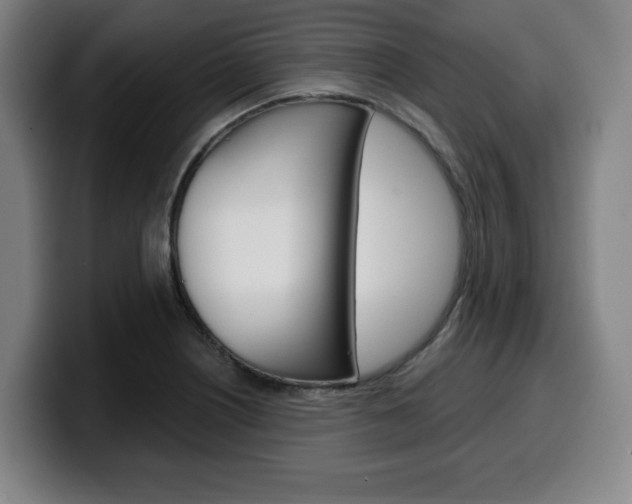 X0000099501226200805150942