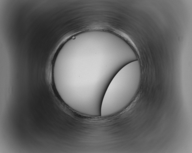 X0000099501227200805150942