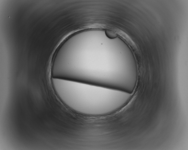 X0000099501228200805150942