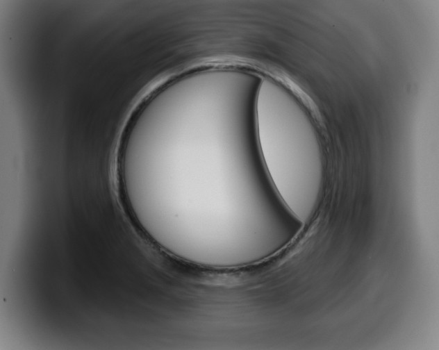 X0000099501229200805150942