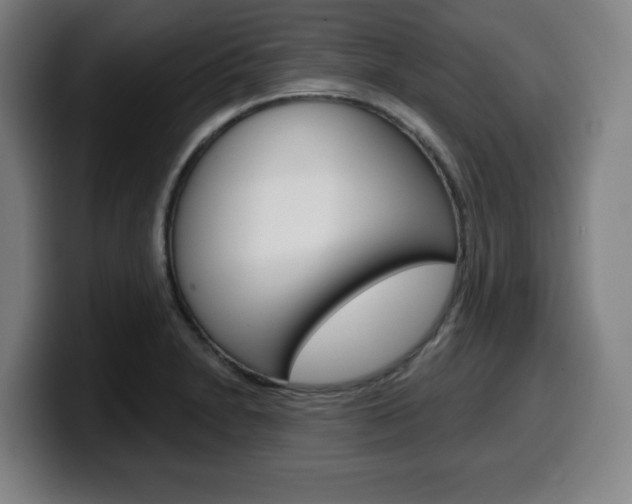 X0000099501230200805150942